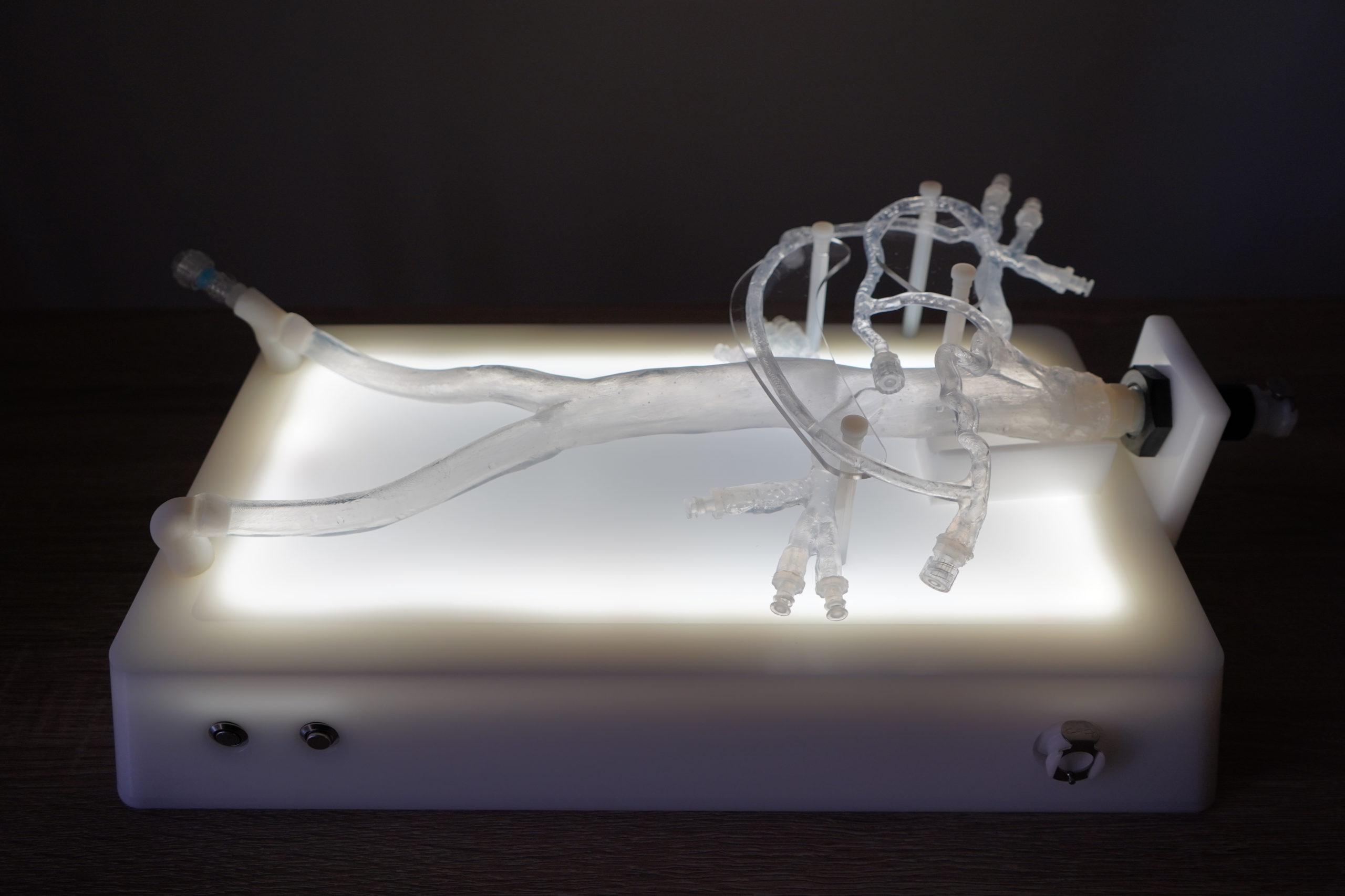 Custom Models for the Medical Device Industry
